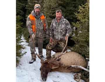 Sns Wyoming Wilderness Elk 2026 25